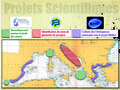 Mapa obszarów badań szczegółowych, źródło: MarineLink.com

